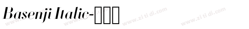 Basenji Italic字体转换 Basenji Italic字体转换